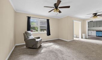 165 Mountain View Rd, Alexandria, AL 36250