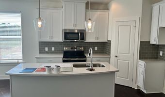 20 Auburn Landing Pl, Auburn, GA 30011