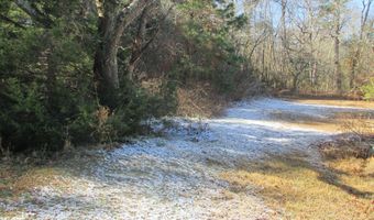 30778 BUNTING Rd, Dagsboro, DE 19939