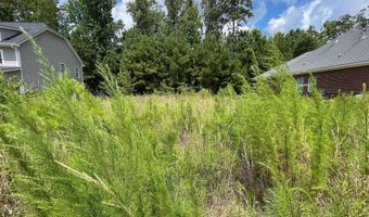 84 Dogwood Cottage Ct, Blythewood, SC 29016