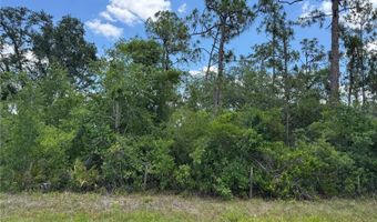 SW FLORIDA ROAD, Arcadia, FL 34266