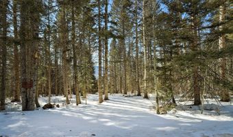 Lot 1263 Starlight Overlook, Angel Fire, NM 87710