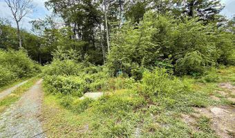 224 Arrau Rd, Andover, VT 05143