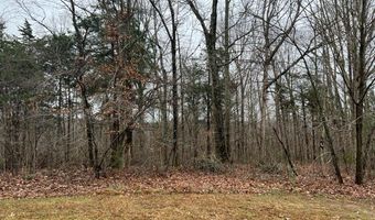 Cornerstone Pkwy lot 2 & 3, Allons, TN 38541