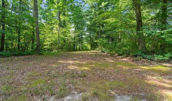 1125 39th St, Allegan, MI 49010