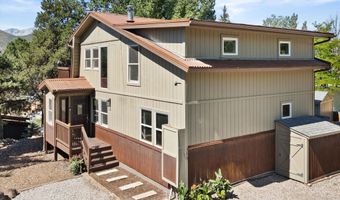 217 Longhorn Ln, Basalt, CO 81621