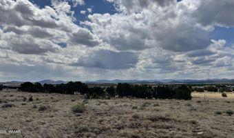 17 County Road N8034, Concho, AZ 85924
