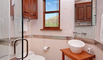 945 E Cooper Ave, Aspen, CO 81611