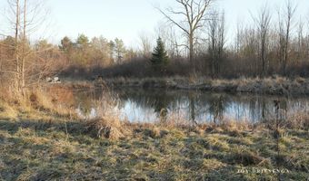 V/L Fawn Path Parcel B, Allegan, MI 49010