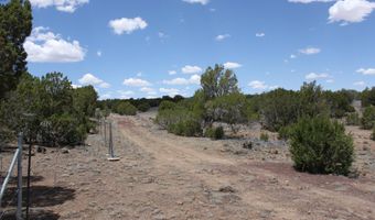 N8190, Concho, AZ 85924