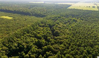 CARPENTER ROAD, Bastrop, LA 71220