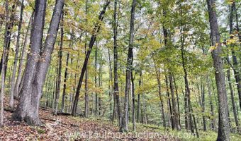 Jesse Run Rd, Arnoldsburg, WV 25234