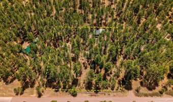 70 County Road 2266, Alpine, AZ 85920
