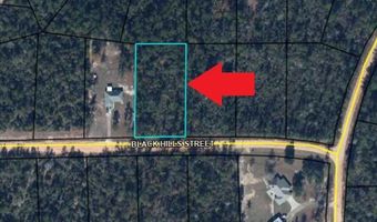 Black Hills Street lot 4, Alford, FL 32420