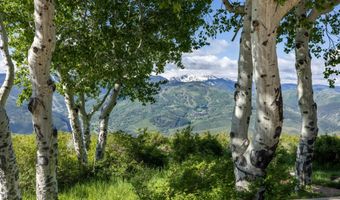 84 Wild Rose, Avon, CO 81620