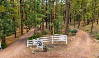 2 County Road 2081, Alpine, AZ 85920