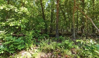210 County Road 320, Alton, MO 65606