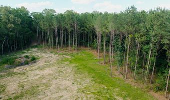 Trickhambridge Road lot 7, Brandon, MS 39042