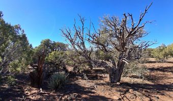 N8716, Concho, AZ 85924