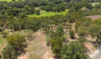 3 W Bluff Ln, Millsap, TX 76066