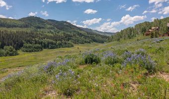 351 Meadow Dr, Crested Butte, CO 81224