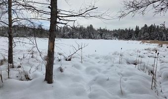 9606 MUNGER Rd, Afton, MI 49705