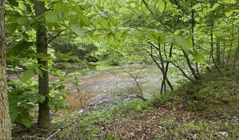 Hollywood Road, Appomattox, VA 24522