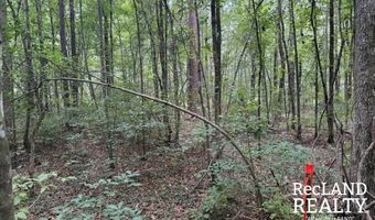 TBD-0 Yeldell Rd, Bastrop, LA 71220