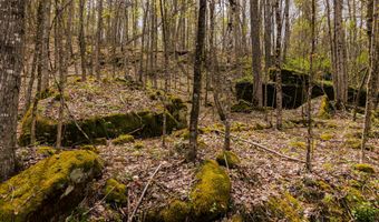 Tbd9999 Wentworth School Road, Beattyville, KY 41311