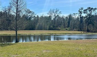 29752 Clinton Threeton Dr, Albany, LA 70711