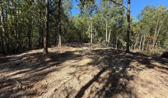 0 Slasham Rd, Ashville, AL 35953