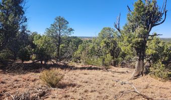 Tbd State Route 260, Clay Springs, AZ 85923
