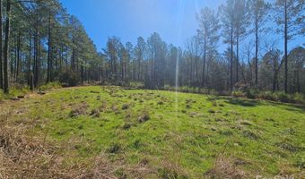 8988 Hwy 215 Hwy, Blair, SC 29015