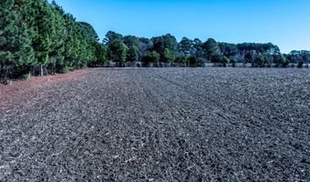 Lot 2 Bullard Pit Circle, Autryville, NC 28318