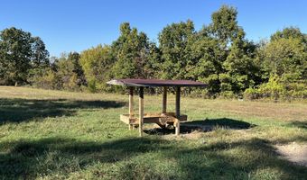 County Road 113, Alton, MO 65606