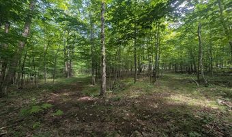 W Long Lake Road, Alpena, MI 49707