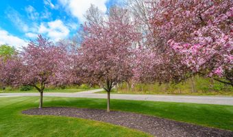 5730 Summerset Woods Dr, Alto, MI 49302