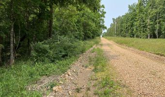 Lots 7 & 8 County Road 206, Alton, MO 65606