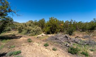 44590 Chapman Rd, Anza, CA 92539
