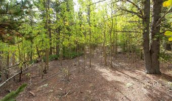 452 QUARTZVILLE Rd, Alma, CO 80420