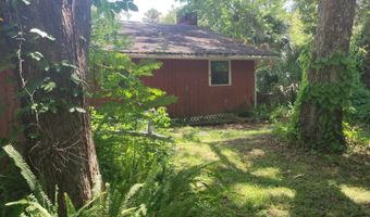 56337 Blue Creek Rd, Astor, FL 32102