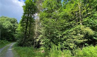 Tract 1 Spring Mountain Trail, Boone, NC 28607