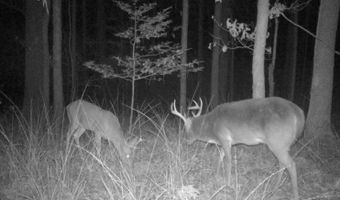 0 Progress Road Rd, Beaumont, MS 39423