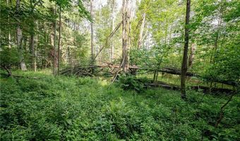 County Road 2, Addison, NY 14801