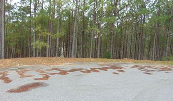 1208 GRANDE VIEW Ln 803, Alabaster, AL 35114