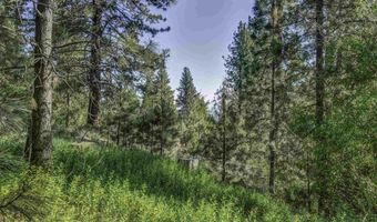 286 Tigerwood Ct 316, Gardnerville, NV 89460