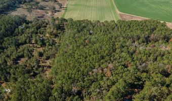 Tbd N COUNTY RD 1491, Alachua, FL 32615