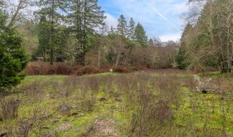 Upper Cow Creek Road, Azalea, OR 97410