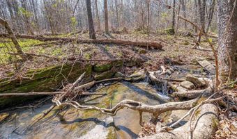 163 Acres Duck Springs Rd, Attalla, AL 35954