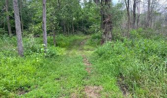 14900 Woodbridge Rd, Camden, MI 49232